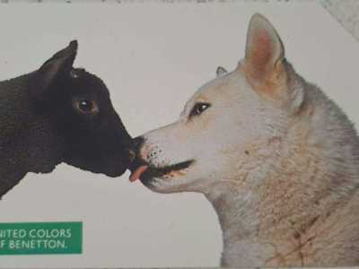 ...animali...